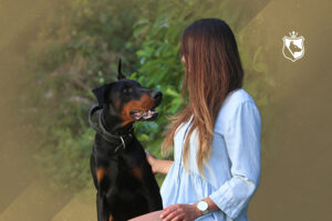 Beherrsche deinen Körper – Körpersprache für Hundehalter