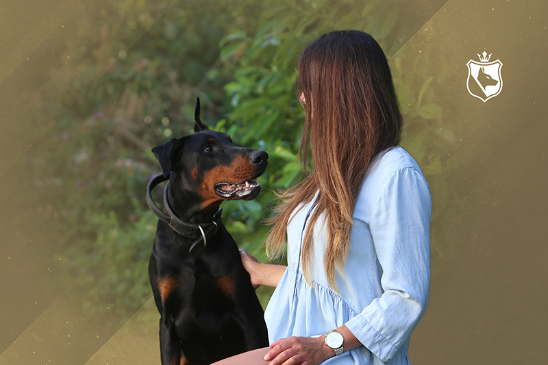 Beherrsche deinen Körper – Körpersprache für Hundehalter
